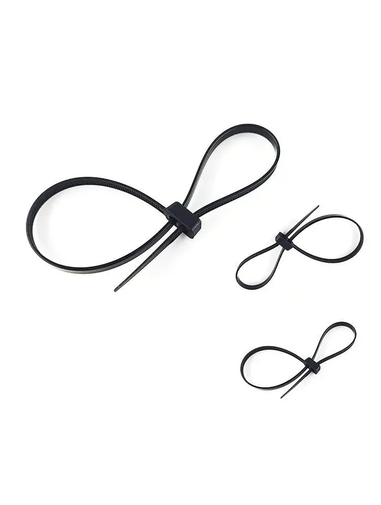Nylon Cable Tie - Double Head Cable Ties